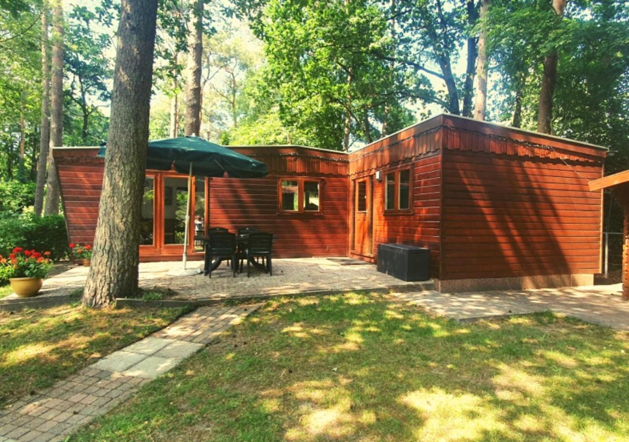 Chalet L2 Dennenrhode Doornspijk Eksteriør billede